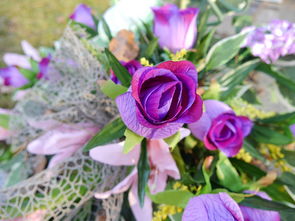 花的双重性质 从自然之美到文化象征