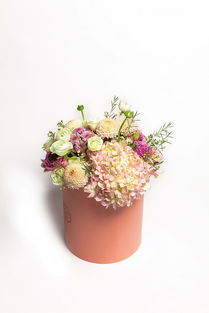 花卉摄影艺术 如何拍出令人心动的鲜花产品照